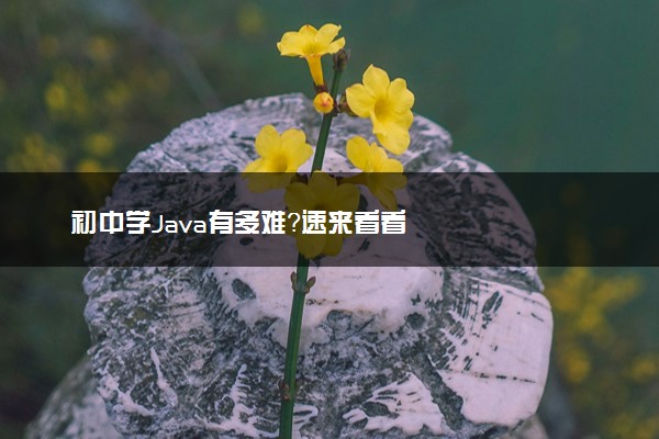 初中学Java有多难？速来看看