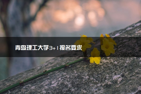 青岛理工大学3+1报名要求