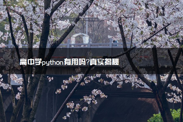 高中学python有用吗？真实揭秘