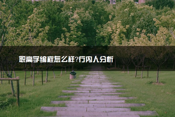 职高学编程怎么样？行内人分析