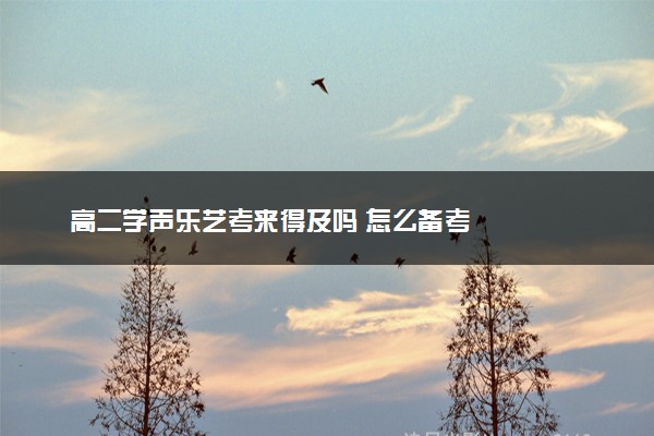 高二学声乐艺考来得及吗 怎么备考
