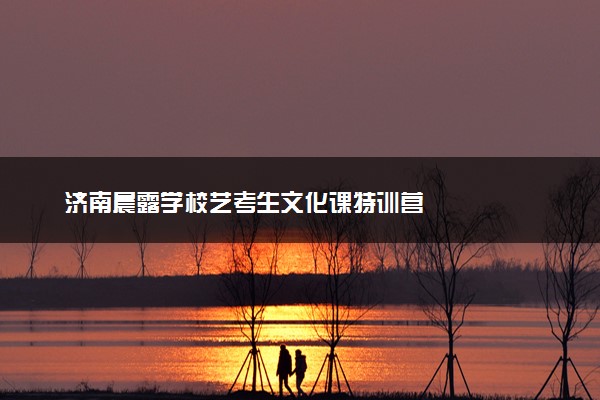 济南晨露学校艺考生文化课特训营