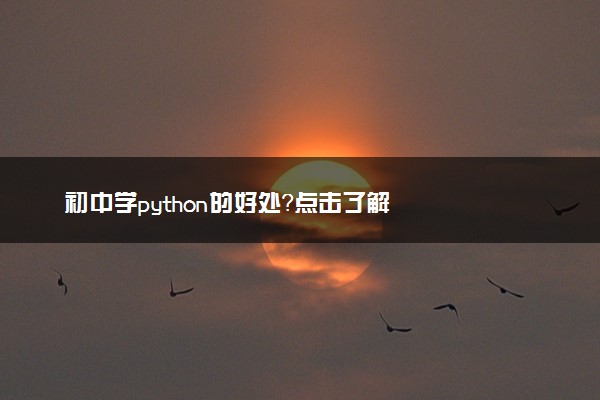 初中学python的好处？点击了解