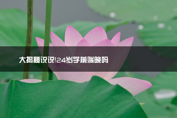 大揭秘说说！24岁学前端晚吗