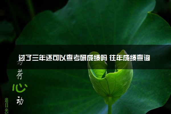 过了三年还可以查考研成绩吗 往年成绩查询方法