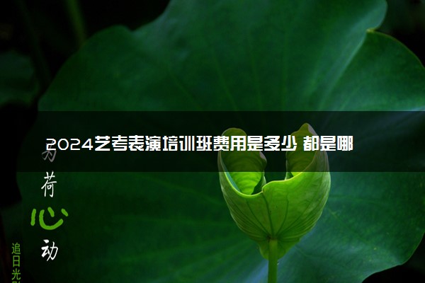 2024艺考表演培训班费用是多少 都是哪些花费
