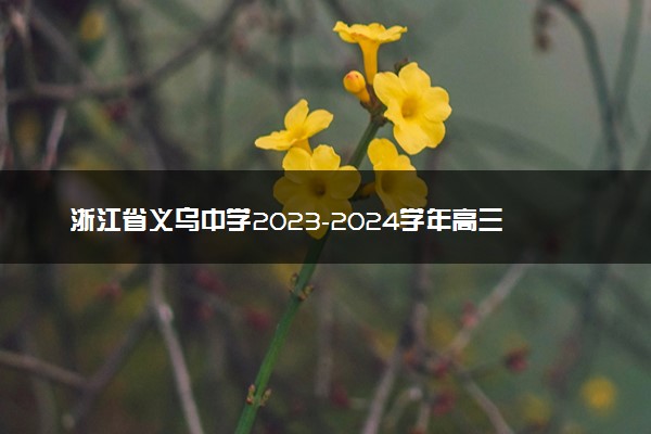 浙江省义乌中学2023-2024学年高三上学期首考适应性考试技术答案