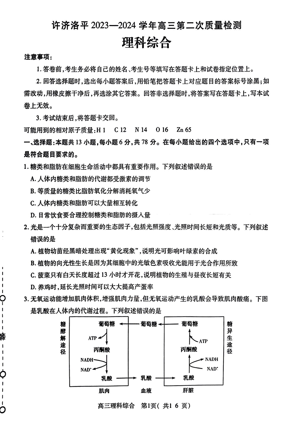 2024届高三许济洛平二模理综