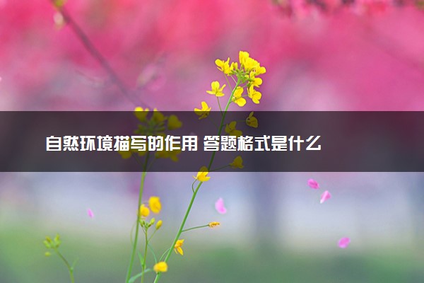 自然环境描写的作用 答题格式是什么