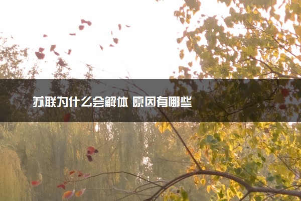 苏联为什么会解体 原因有哪些