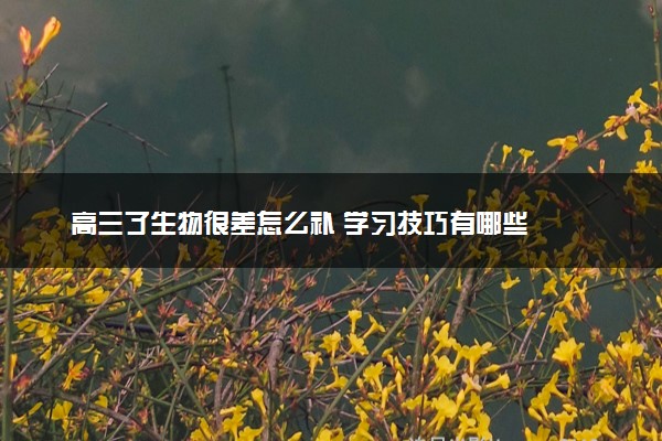 高三了生物很差怎么补 学习技巧有哪些