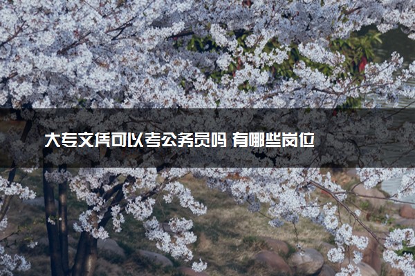 大专文凭可以考公务员吗 有哪些岗位