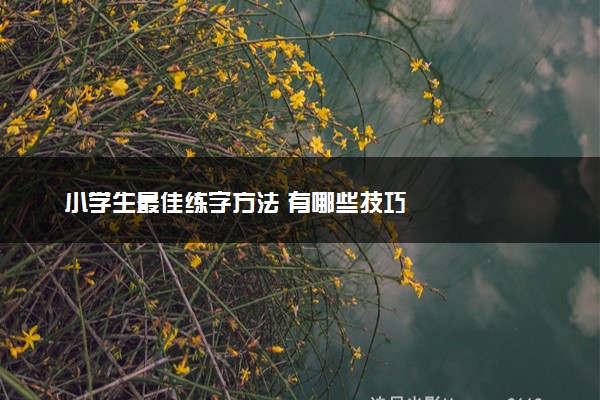 小学生最佳练字方法 有哪些技巧