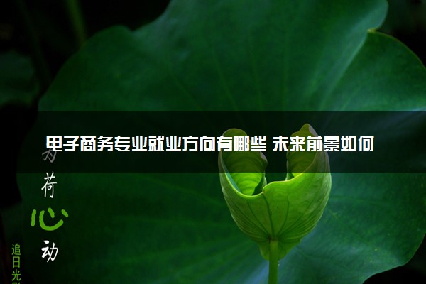 电子商务专业就业方向有哪些 未来前景如何
