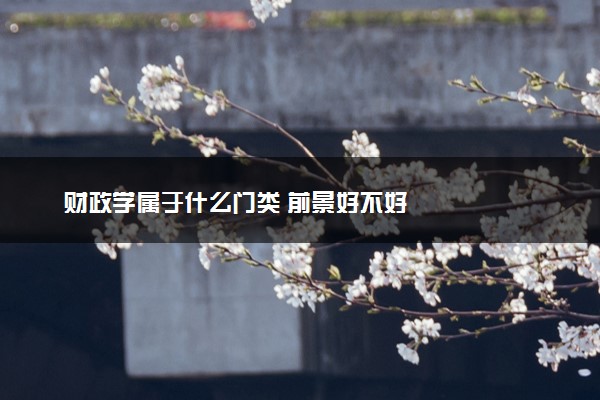 财政学属于什么门类 前景好不好