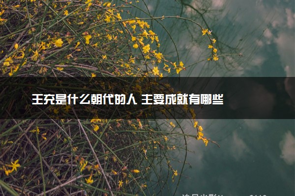 王充是什么朝代的人 主要成就有哪些