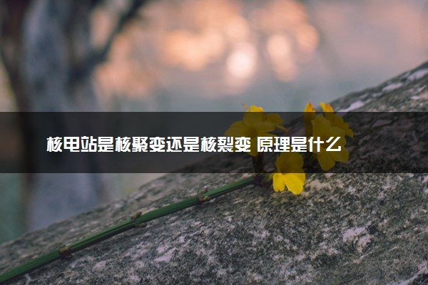 核电站是核聚变还是核裂变 原理是什么