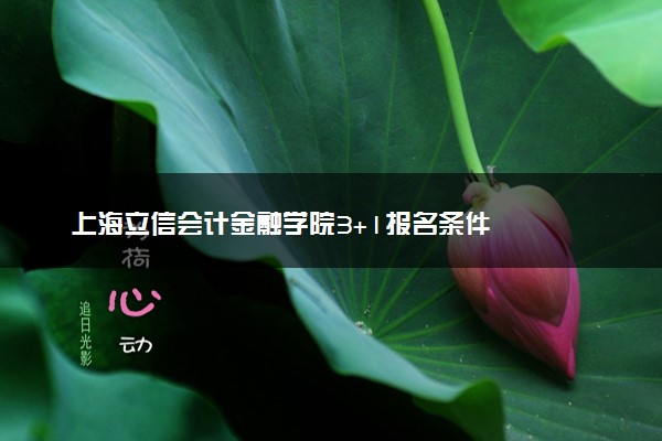 上海立信会计金融学院3+1报名条件