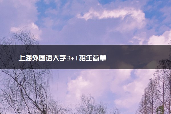 上海外国语大学3+1招生简章