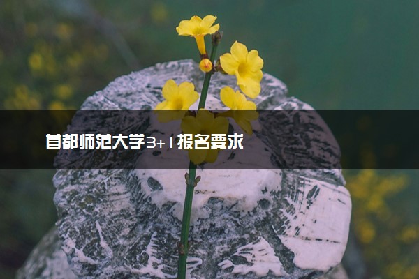 首都师范大学3+1报名要求