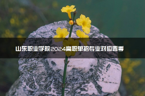 山东职业学院2024高职单招专业对应春季高考专业类别