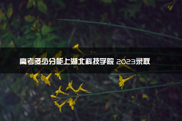 高考多少分能上湖北科技学院 2023录取分数线是多少