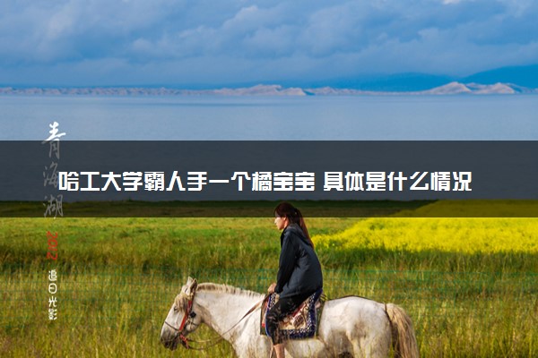 哈工大学霸人手一个橘宝宝 具体是什么情况