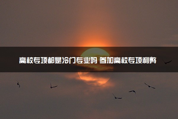 高校专项都是冷门专业吗 参加高校专项利弊有哪些