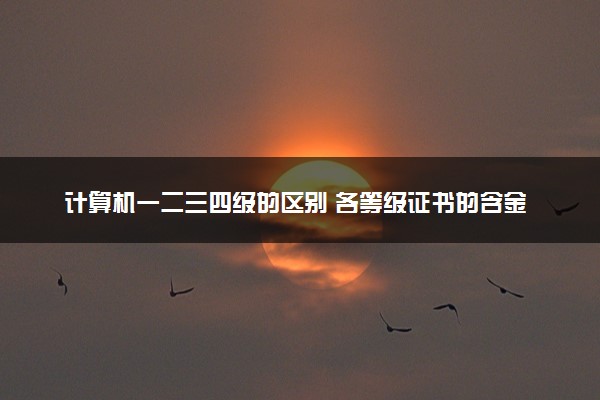 计算机一二三四级的区别 各等级证书的含金量如何