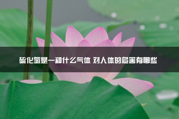 硫化氢是一种什么气体 对人体的危害有哪些