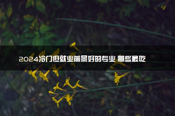 2024冷门但就业前景好的专业 哪些最吃香