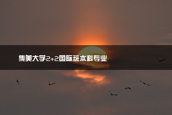 集美大学2+2国际班本科专业