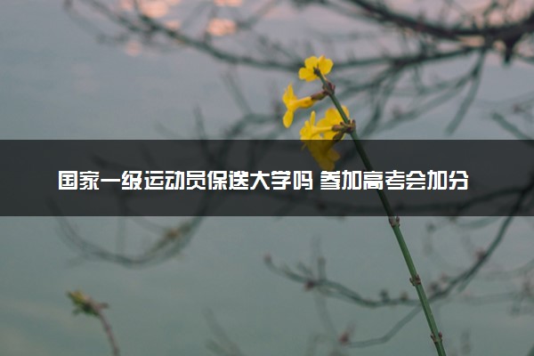 国家一级运动员保送大学吗 参加高考会加分吗
