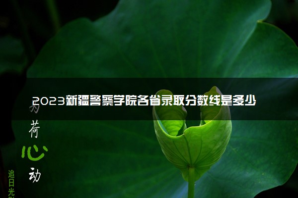 2023新疆警察学院各省录取分数线是多少 投档最低分及位次