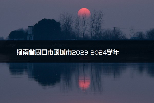 河南省周口市项城市2023-2024学年上学期高三1月阶段测试数学高三简易答案