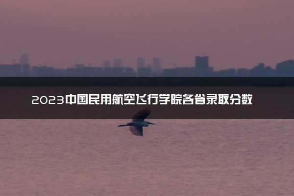 2023中国民用航空飞行学院各省录取分数线是多少 投档最低分及位次
