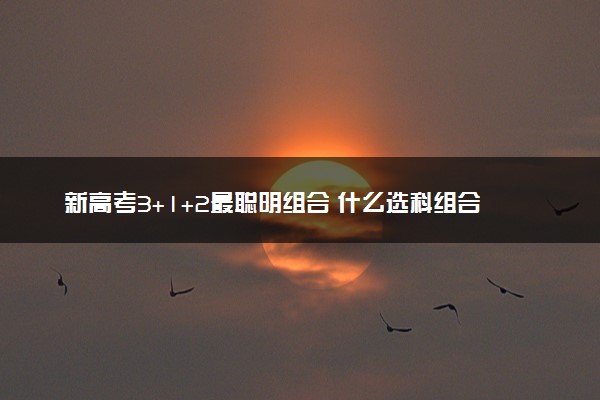 新高考3+1+2最聪明组合 什么选科组合吃香