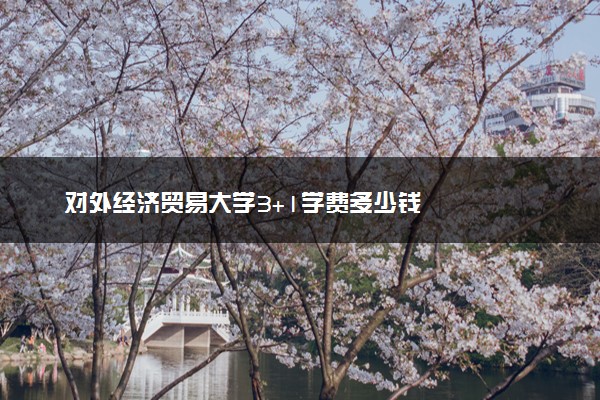 对外经济贸易大学3+1学费多少钱