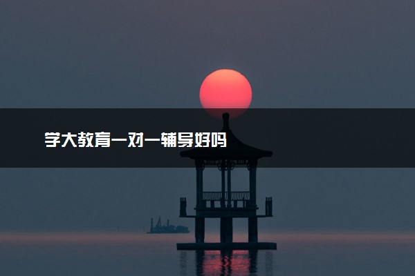 学大教育一对一辅导好吗