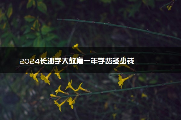 2024长沙学大教育一年学费多少钱