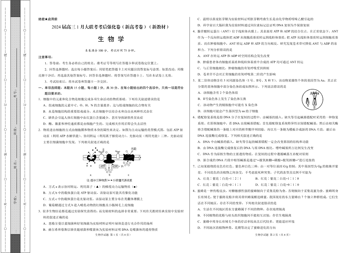 生物-2024届高三1月大联考考后强化卷（新课标II卷）