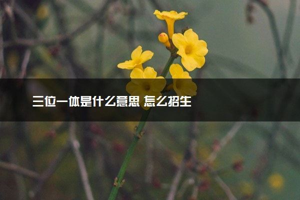 三位一体是什么意思 怎么招生