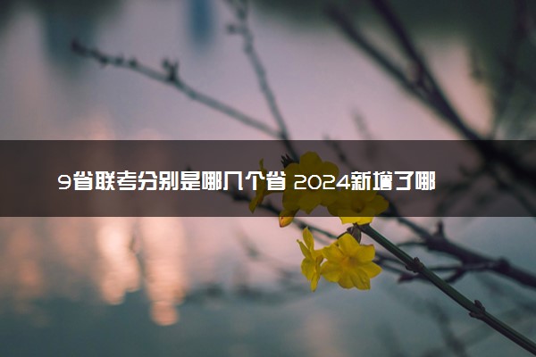 9省联考分别是哪几个省 2024新增了哪几个省份