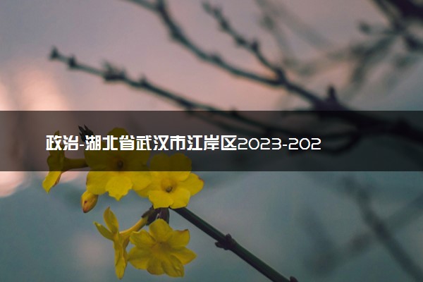 政治-湖北省武汉市江岸区2023-2024学年高三上学期元月调考