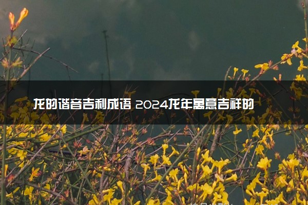 龙的谐音吉利成语 2024龙年寓意吉祥的祝福语