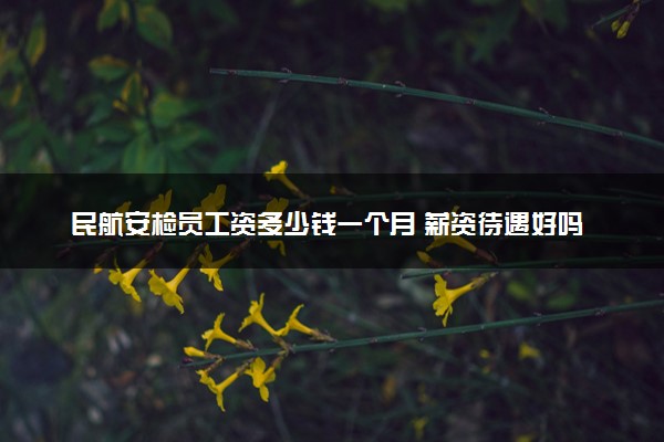 民航安检员工资多少钱一个月 薪资待遇好吗