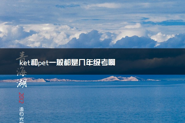 ket和pet一般都是几年级考啊