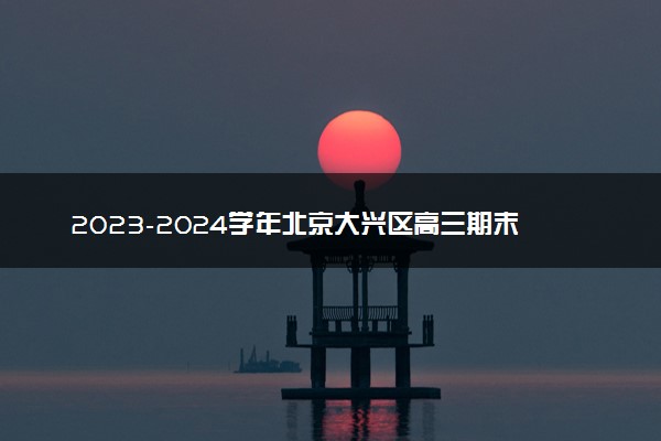 2023-2024学年北京大兴区高三期末英语试题及答案