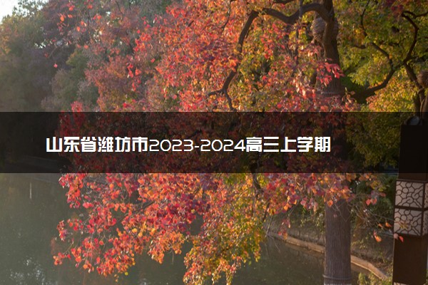 山东省潍坊市2023-2024高三上学期期末地理答案