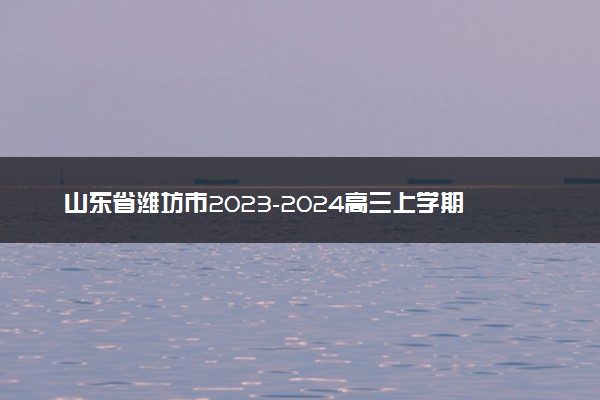 山东省潍坊市2023-2024高三上学期期末化学试题
